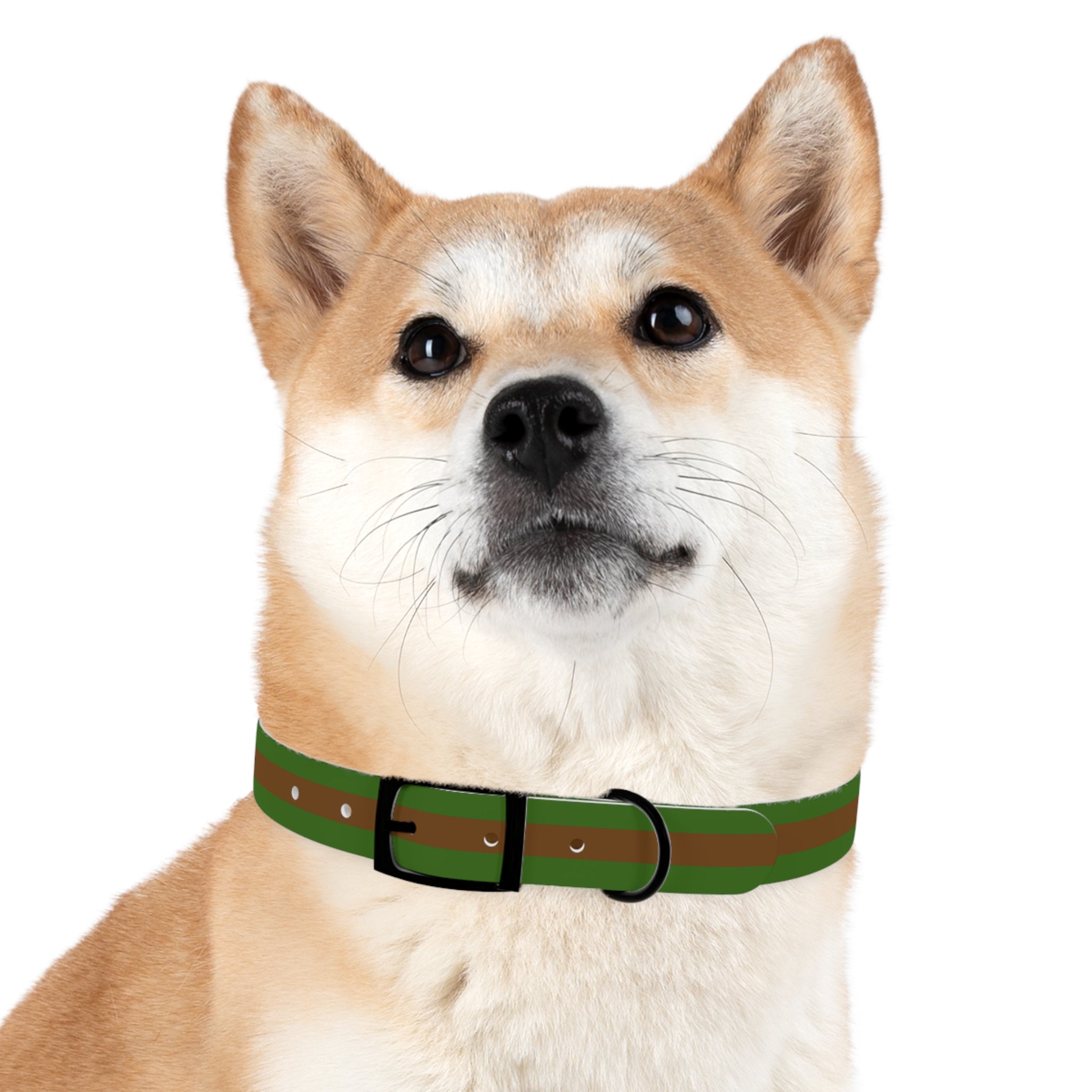 Grass-Poop-Grass Stripes - Hypoallergenic Dog Collar