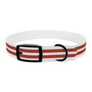 Racecar Stripes - Hypoallergenic Dog Collar