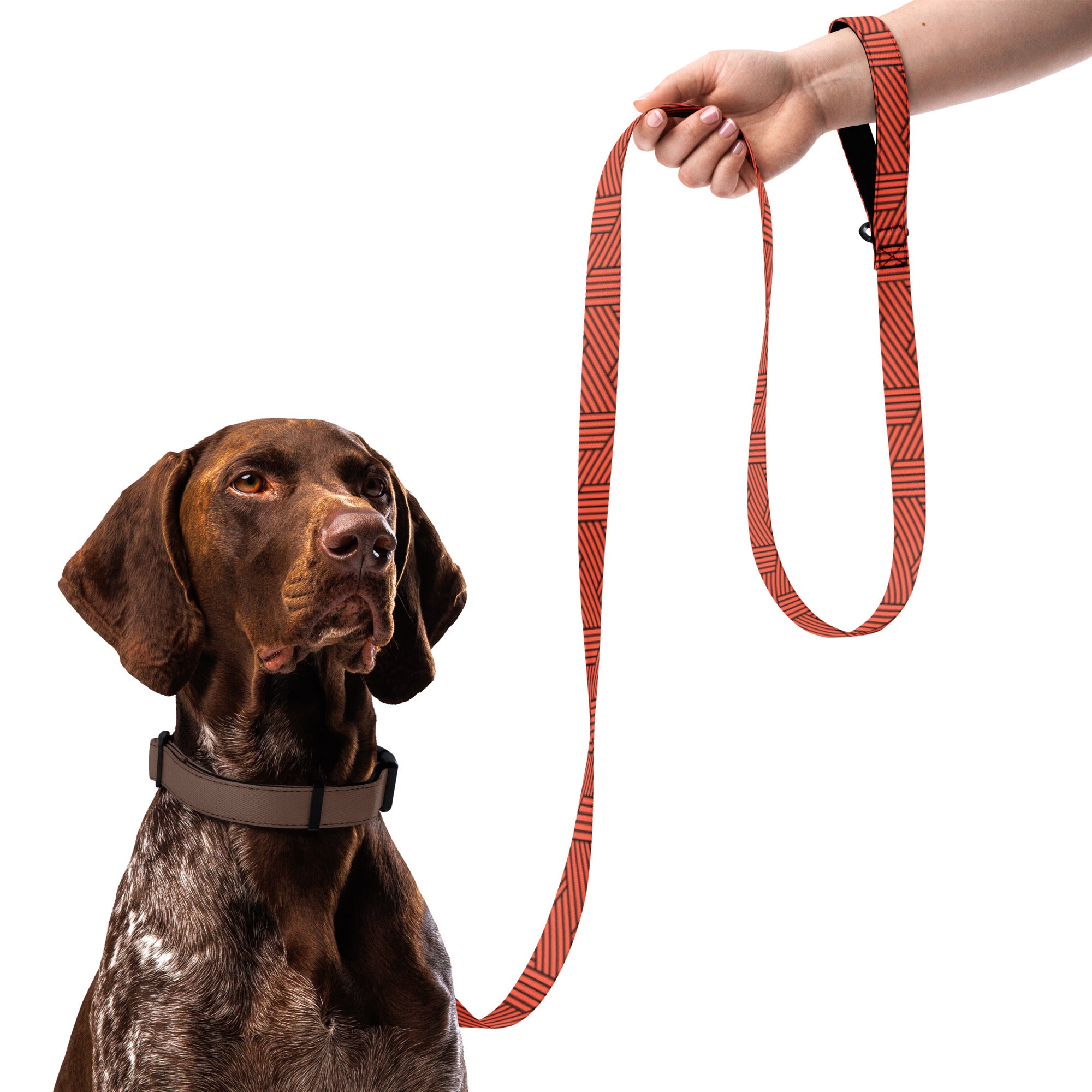 Geometric (Red) - Pet leash