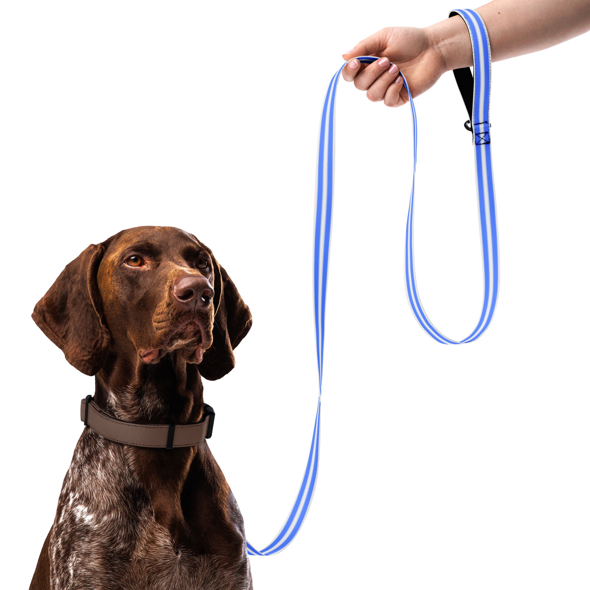 Stripes (White and Blue) - Pet leash