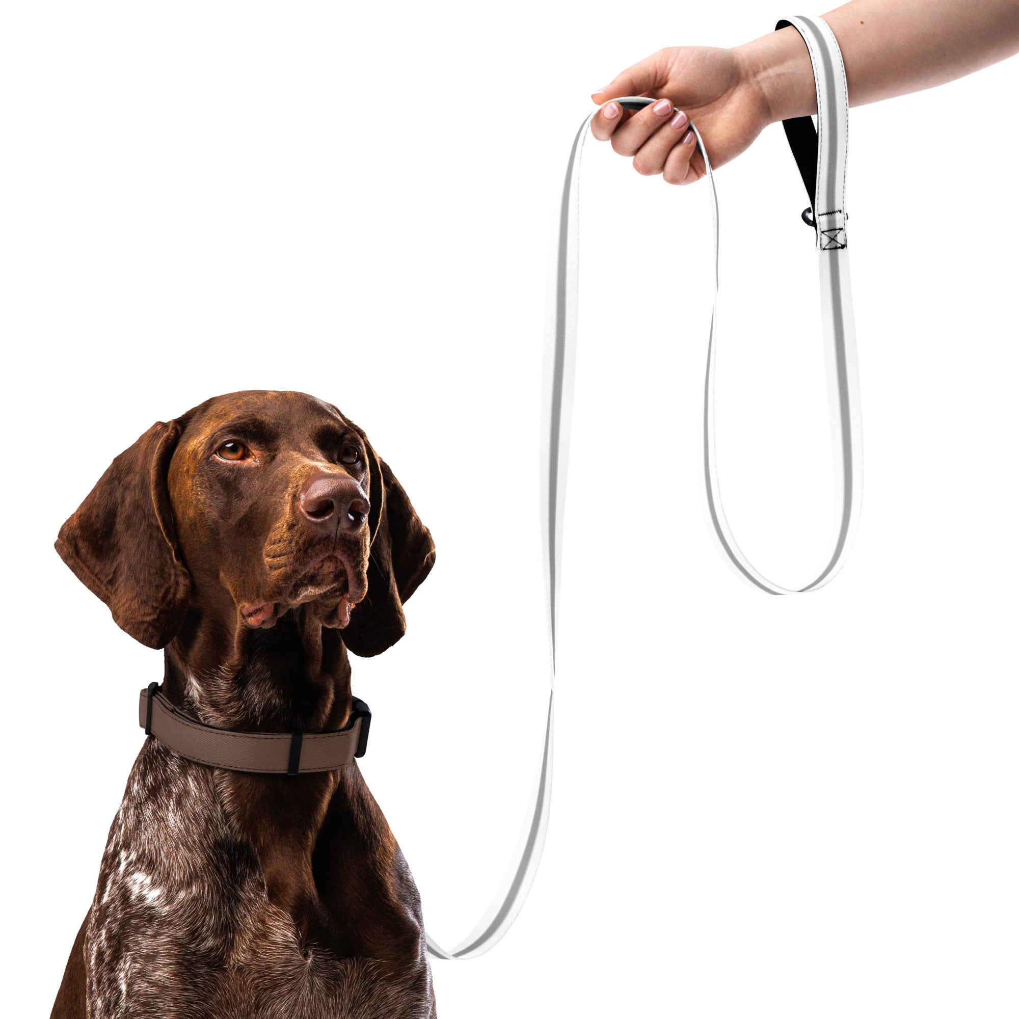 Stripes (Grey) - Pet leash