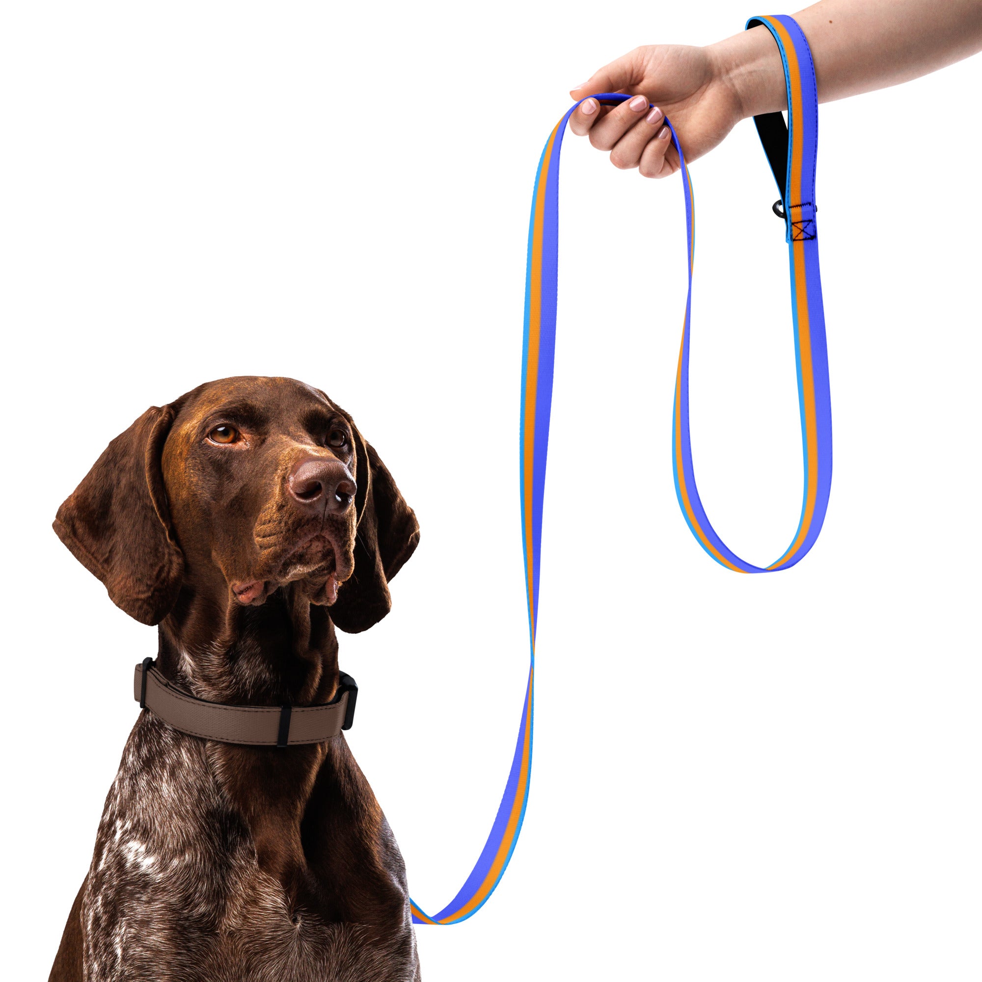 Stripes (Purple, Orange and Indigo) - Pet leash