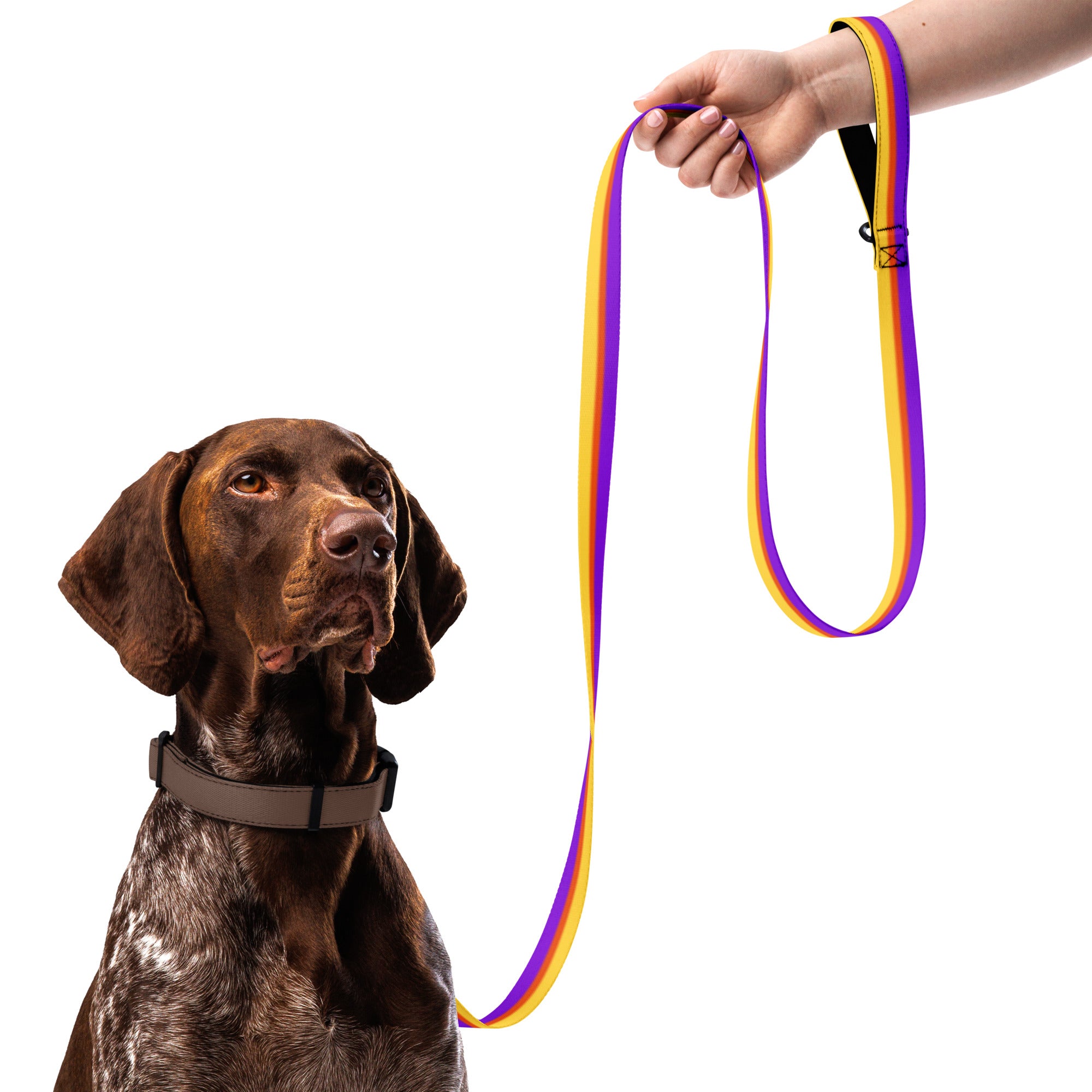 Stripes (Purple and Yellow) - Pet leash